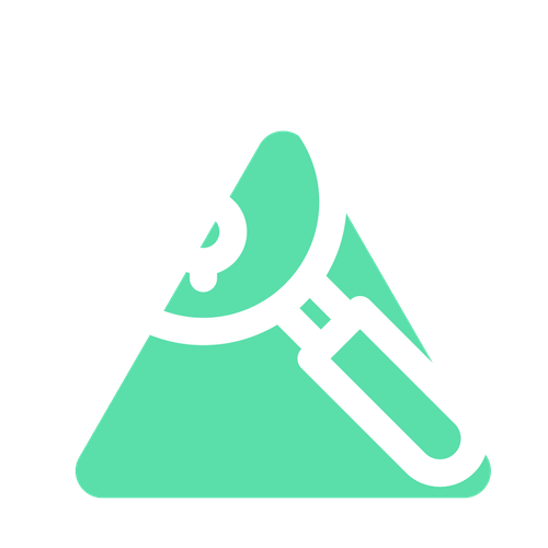 Magnifying Glass Dollar Icon